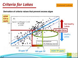 Chl-a and TP correlation