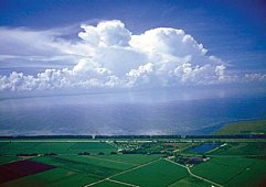 Everglades Agricultural Area