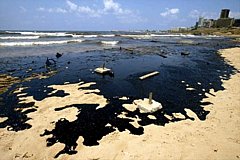 oil on a beach