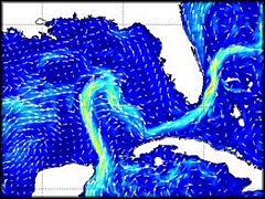 The Loop Current