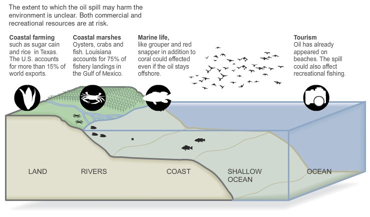 Oil spill impacts
