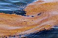 crude oil spill