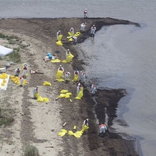 shore clean-up