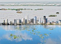 Miami drowned