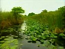 VIDEO: Polluted canals