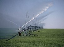 Spray irrigation