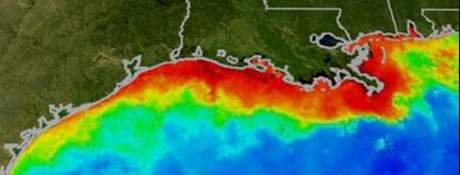 Gulf dead zones