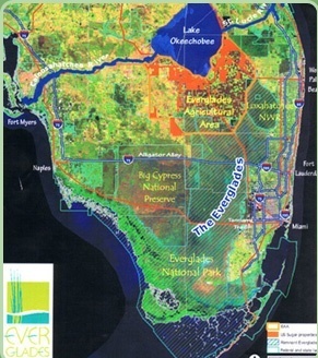EAA-Everglades