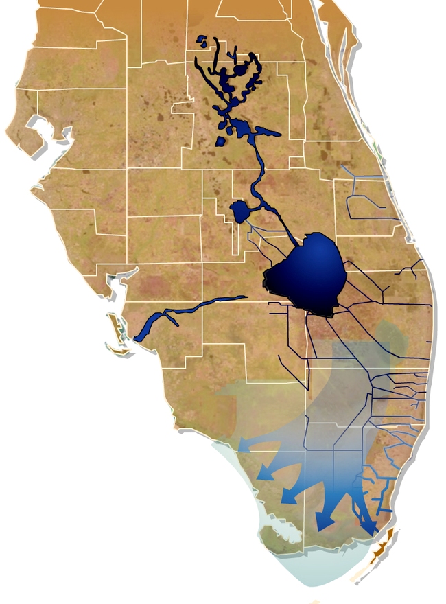 Intended Everglades flow