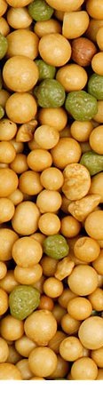 Fertilizer
