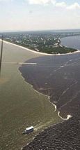 Polluted - Indian River Lagoon