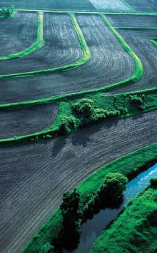 Terraces & Ditch