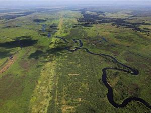 Kissimmee River