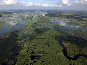 The Kissimmee flooding