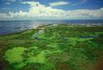 Lake Okeechobee