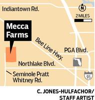 Mecca Farms