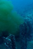 ocean outfall