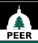 PEER