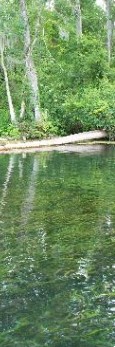 Silver Spring River