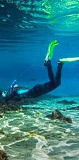 Wekiva diving