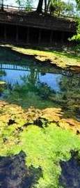Branford Spring