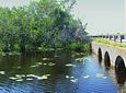 Tamiami Trail culvert