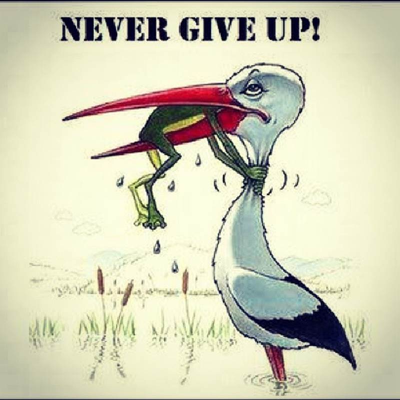 Don't give up !