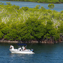 Biscayne Bay