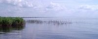 Everglades water